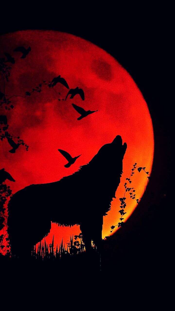 dark