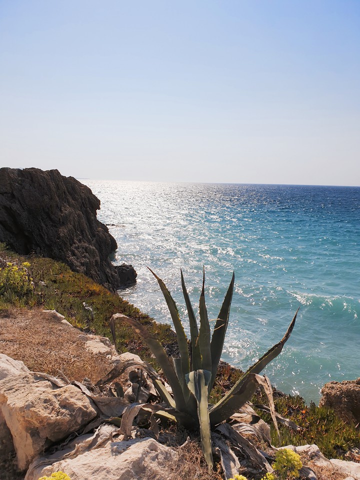 sea#sun#