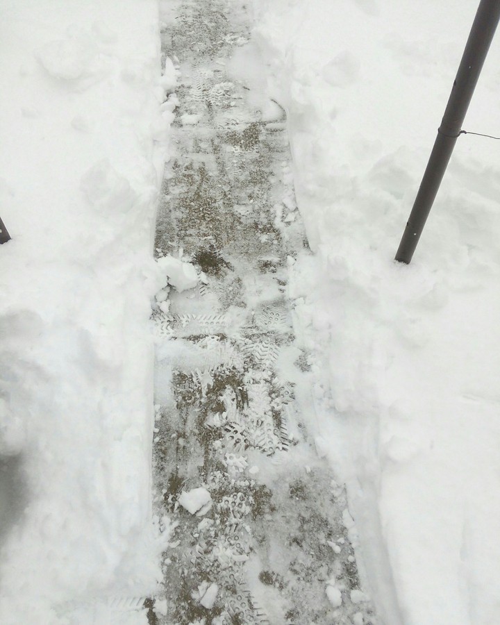 winter]
