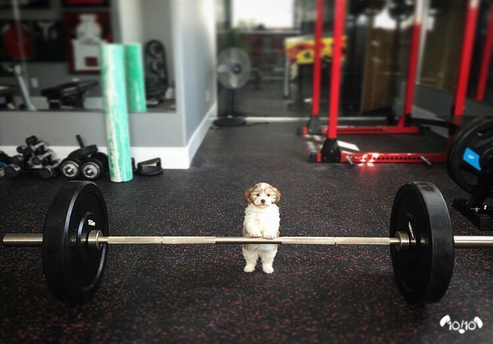 he can do it...