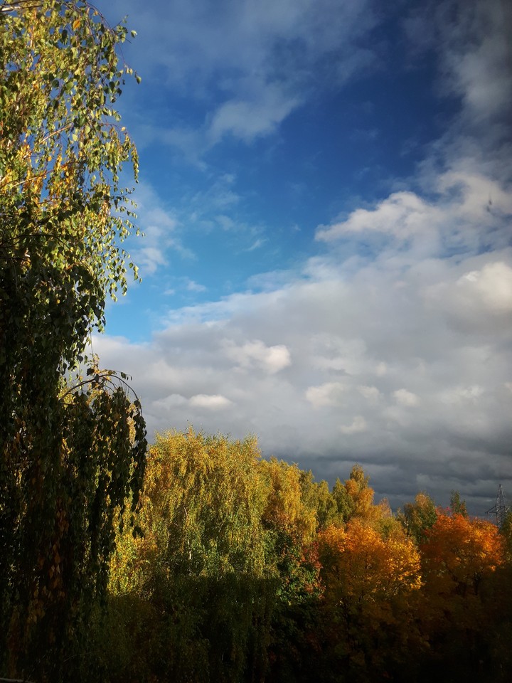 небо и осень