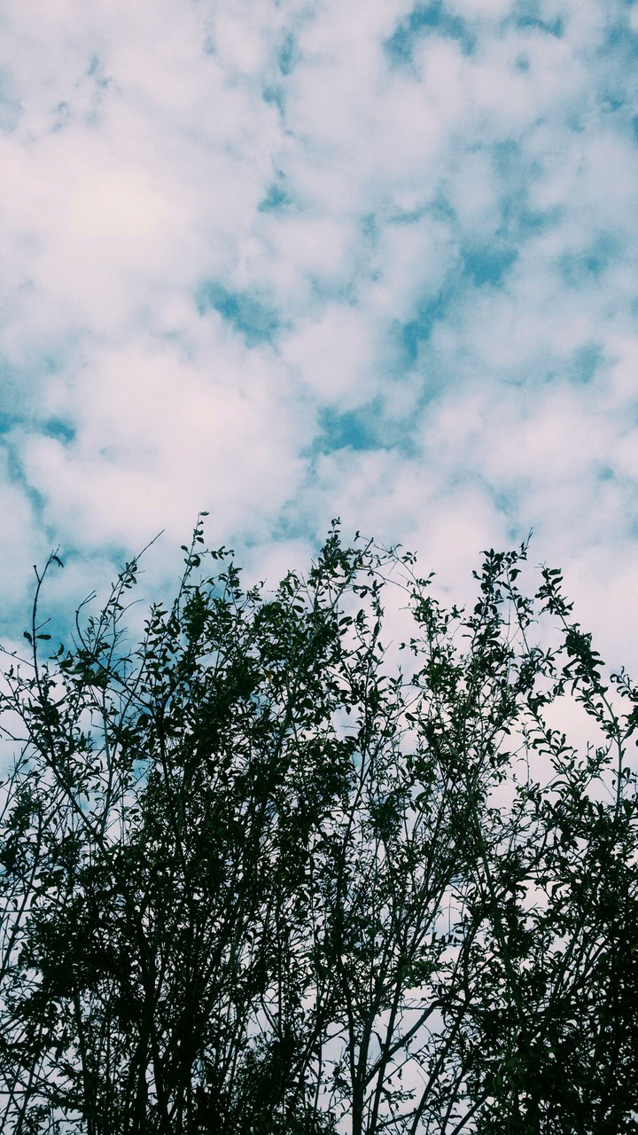 sky