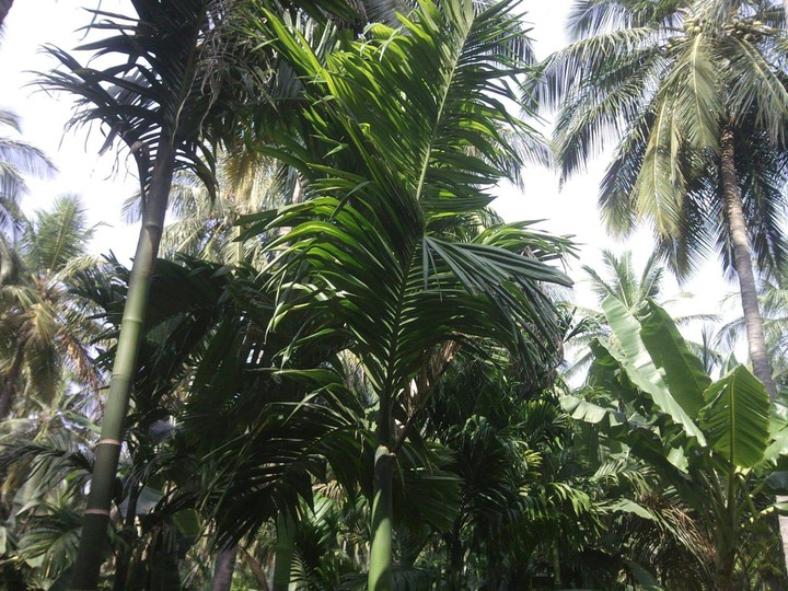 near my hometown