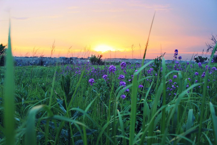 sunrise