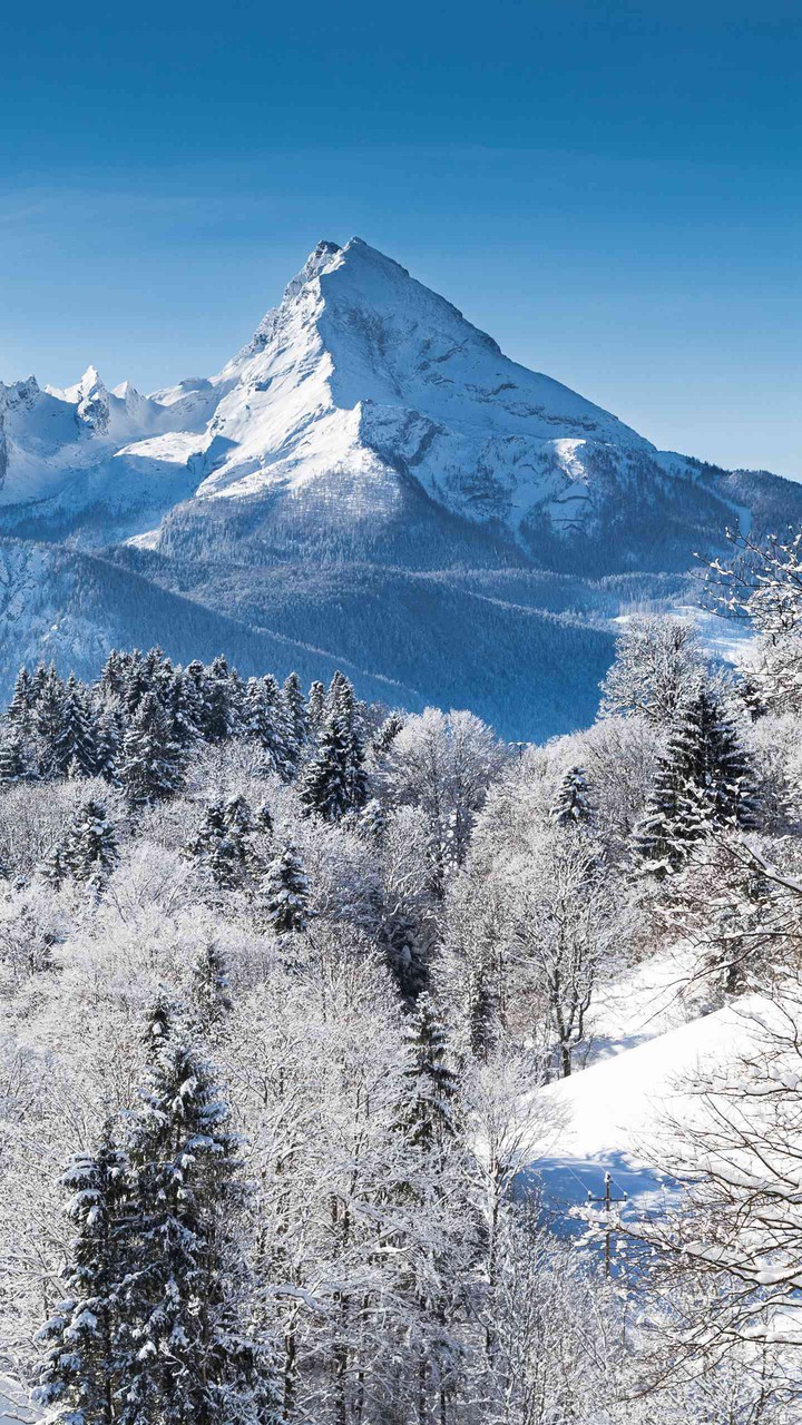 Schneelandschaft in den Bergen