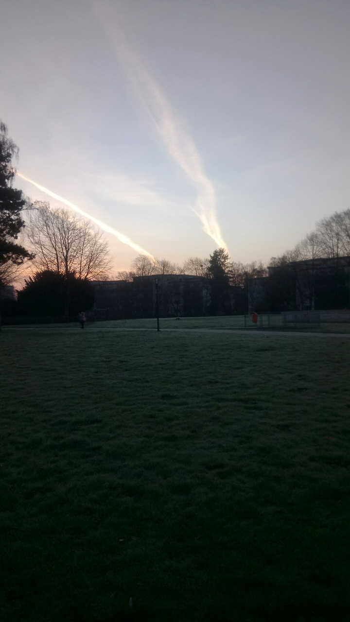morning