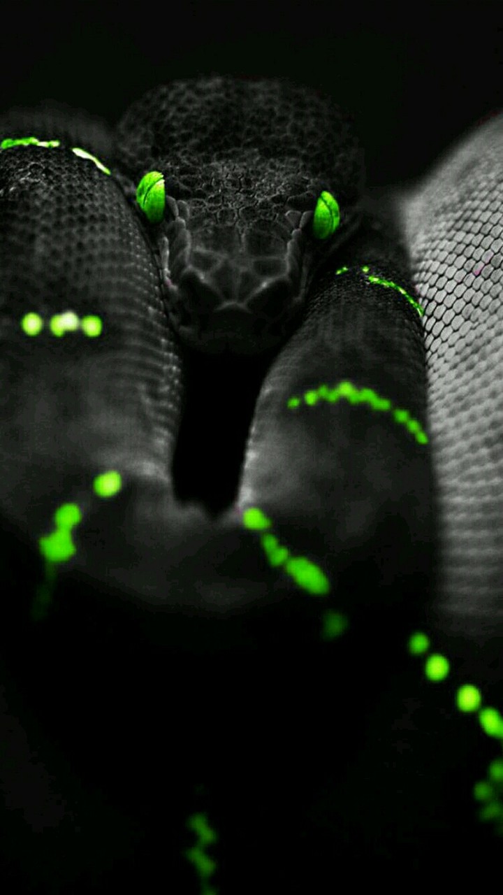 Nagini