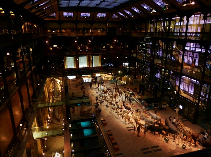 La grande galeries de l'évolution - Paris 05