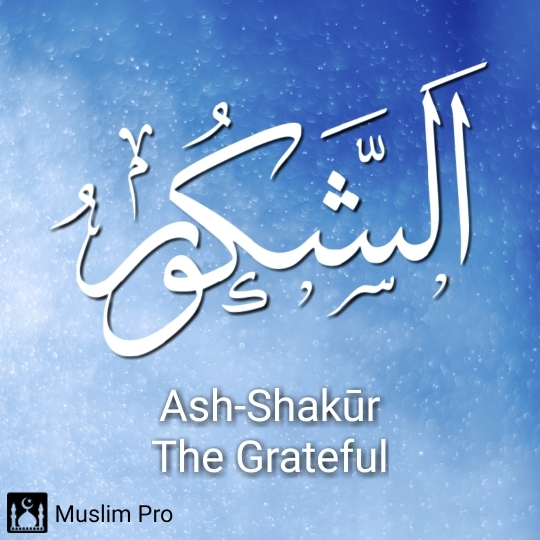 the greatful