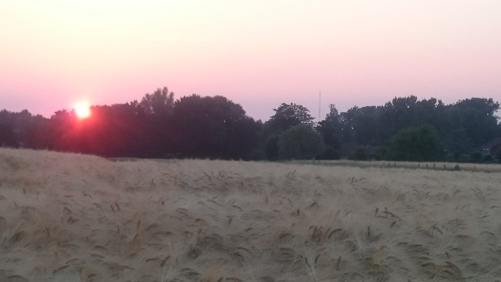 #nofilter
