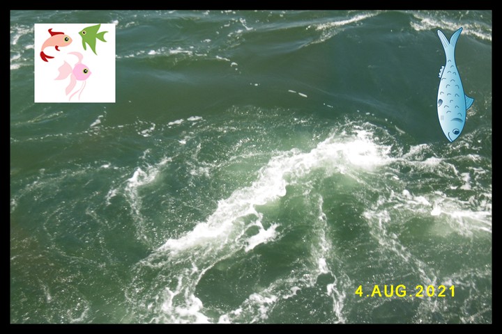 meerwasser