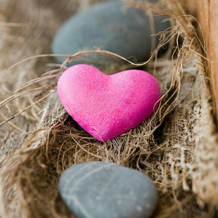 love
