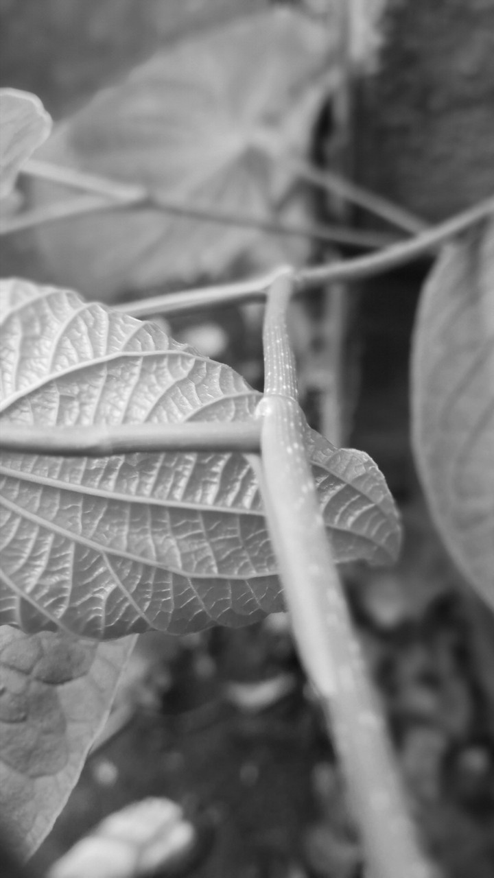 close to nature