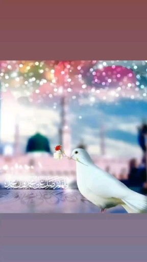 ❤اللهم صل علی محمد و آل محمد و عجل فرجهم ❤
