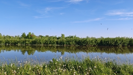 30.05.2025