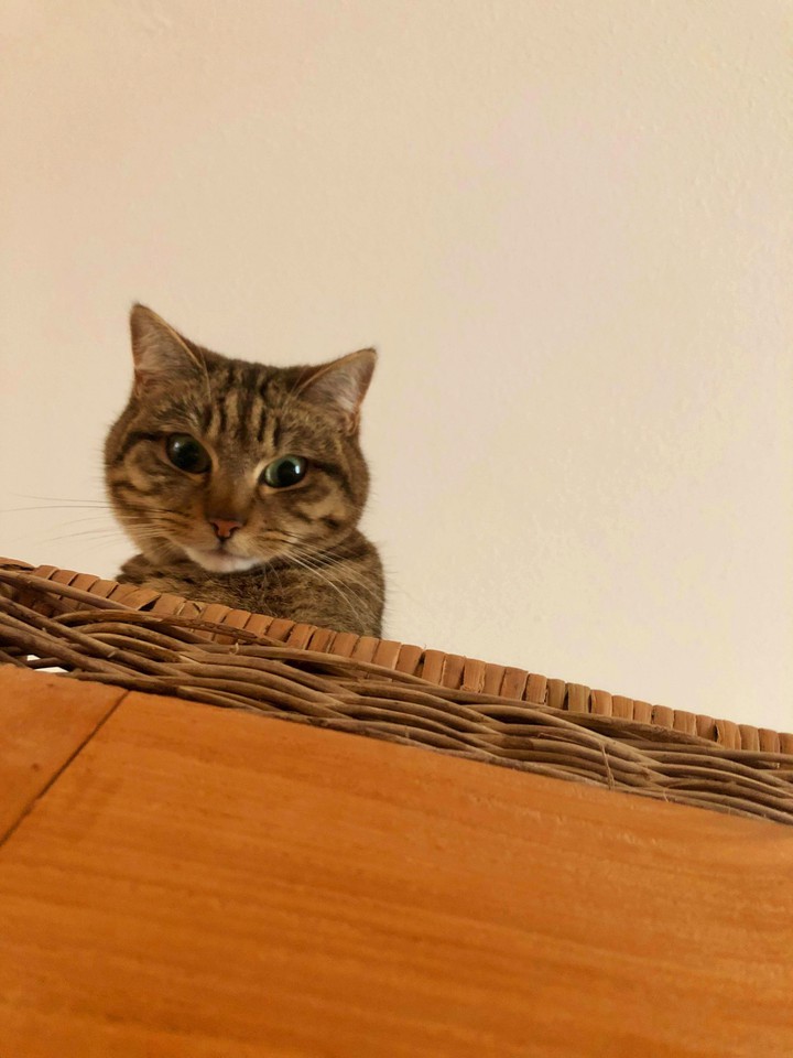 Hello