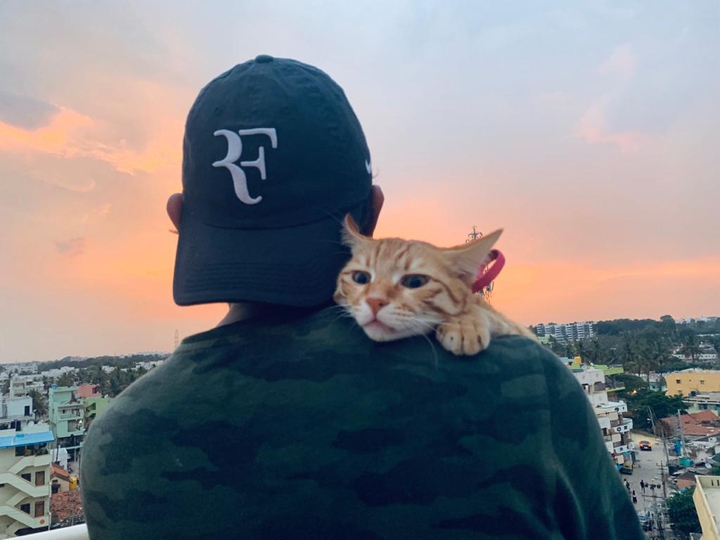 cat buddy