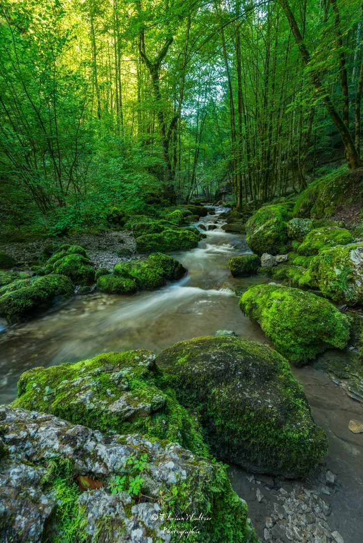 cascade du hérisson