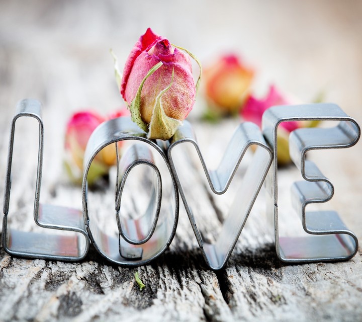 LOVE