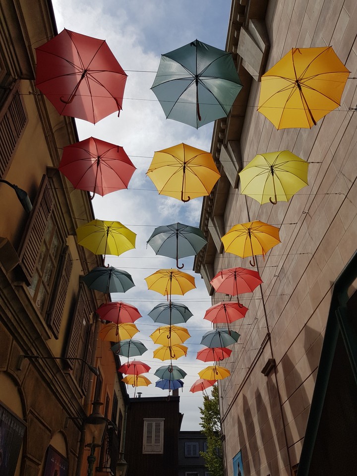 umbrella