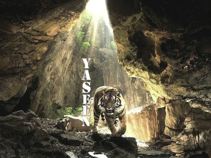 ytiger