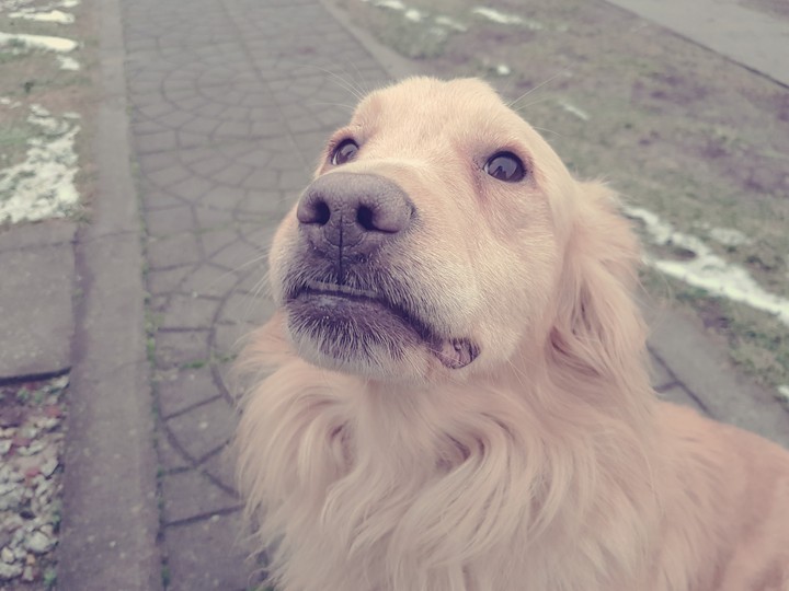 Marley