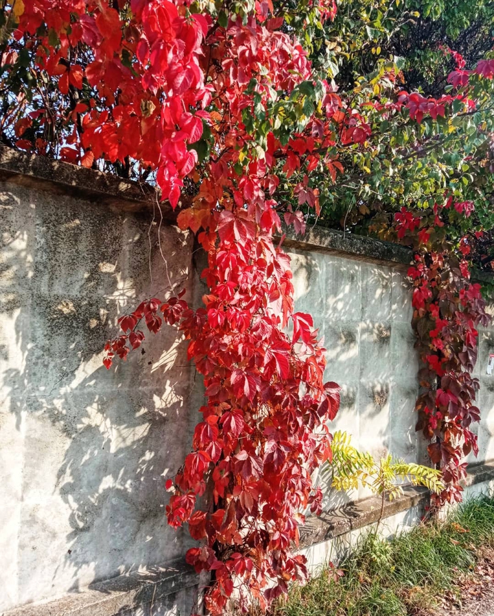 Autumn
