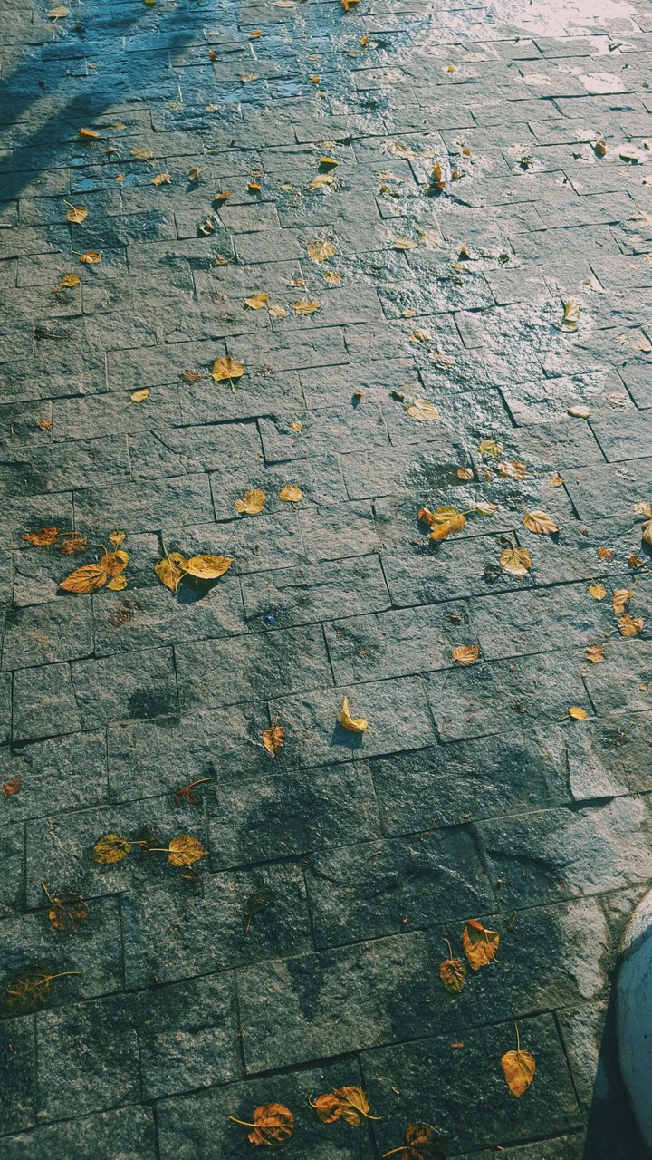 rainy