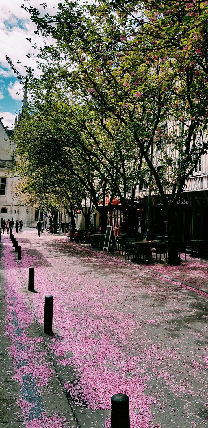 Rouen