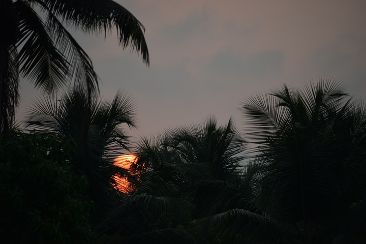 evening