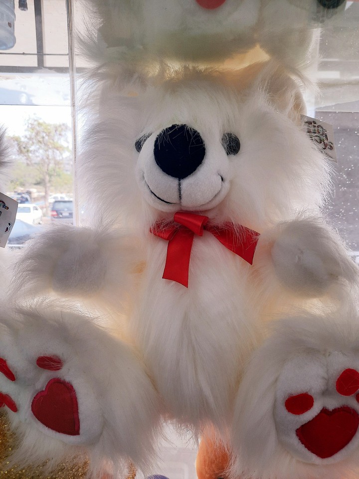 cute teddy