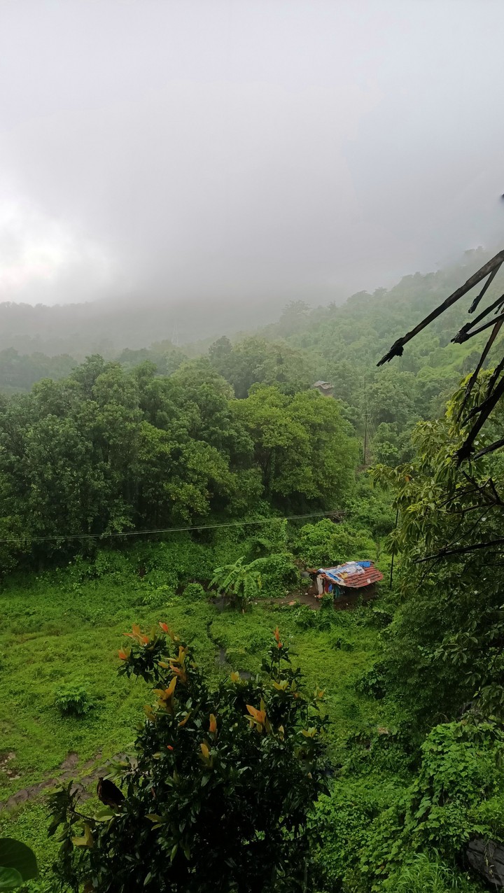 Indian Countryside