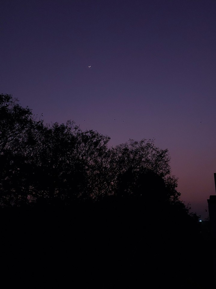The sunset