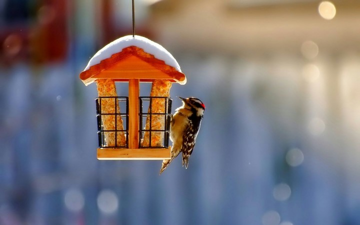winter