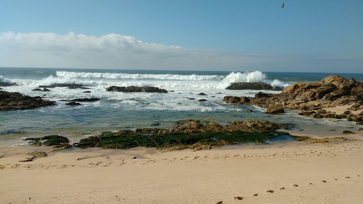 live shore