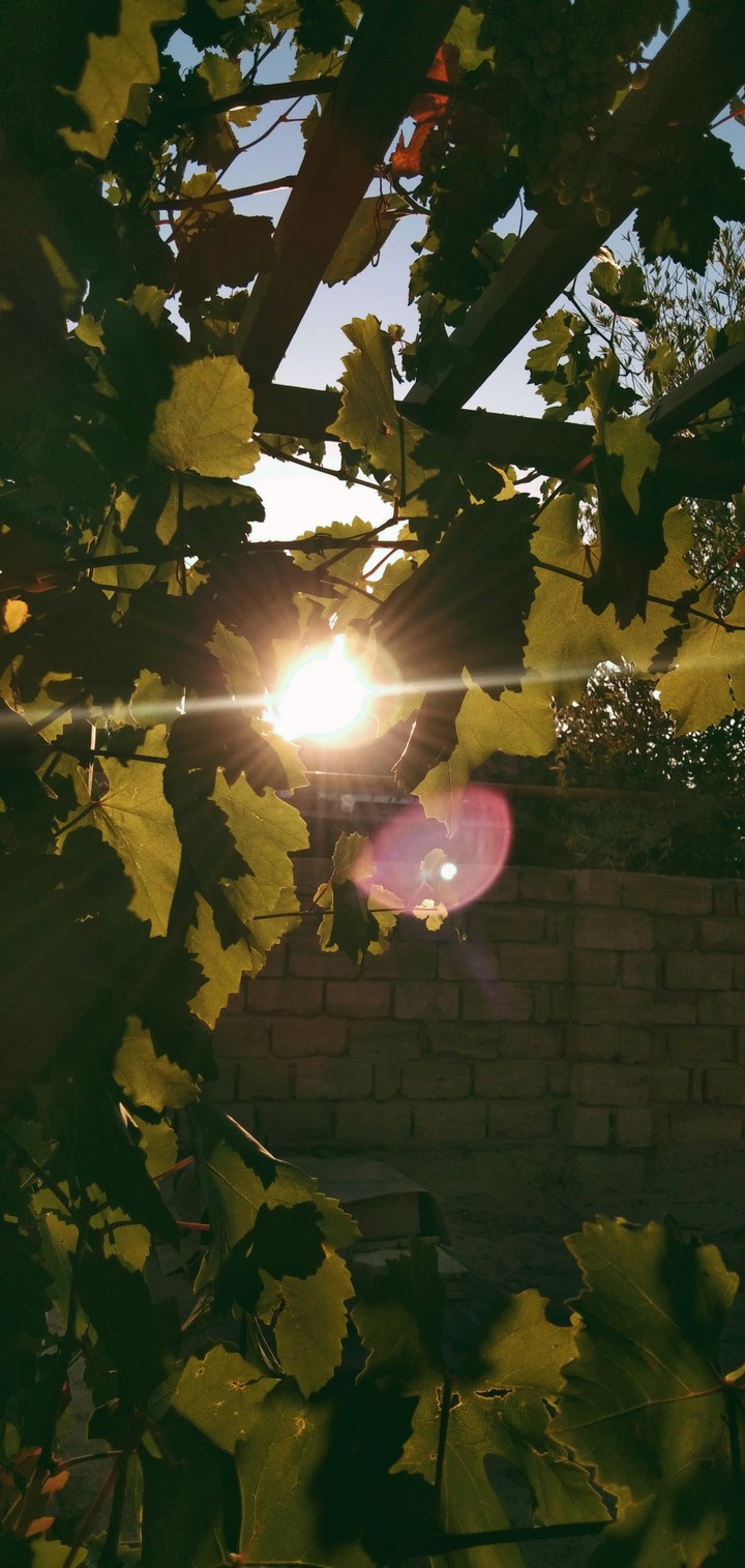 LIGHT