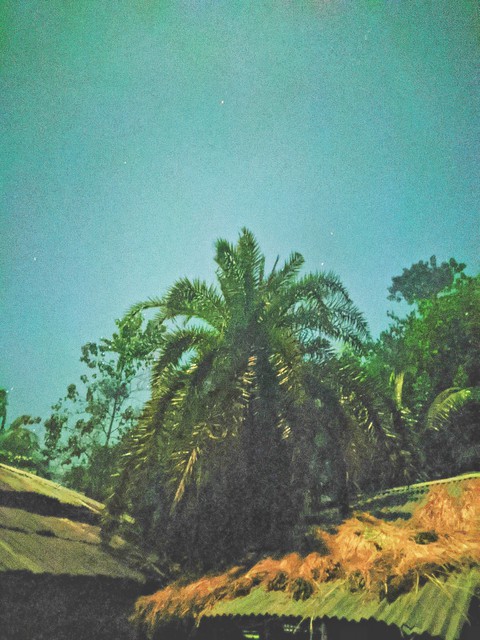 Night shoot