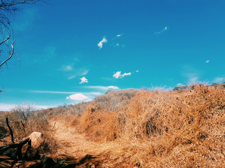 sky blue
