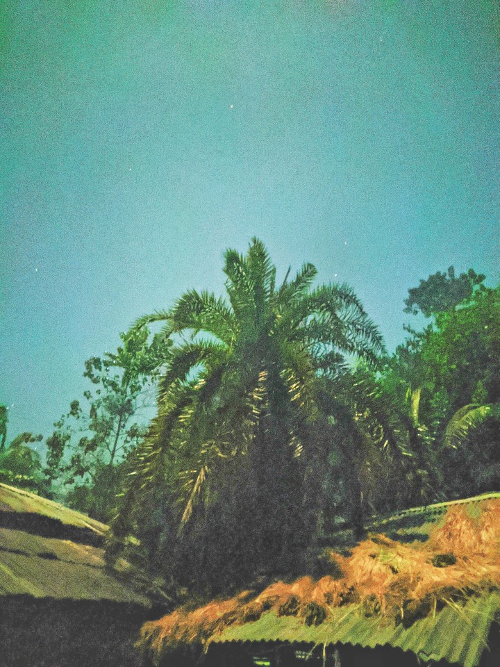 Night shoot