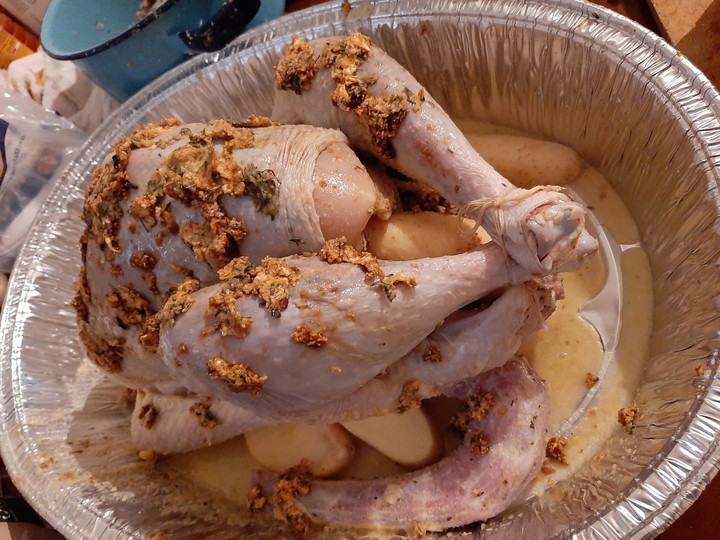 pavo