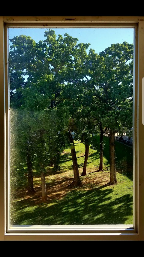 Window to the World