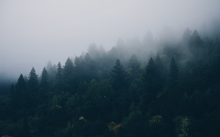 fog