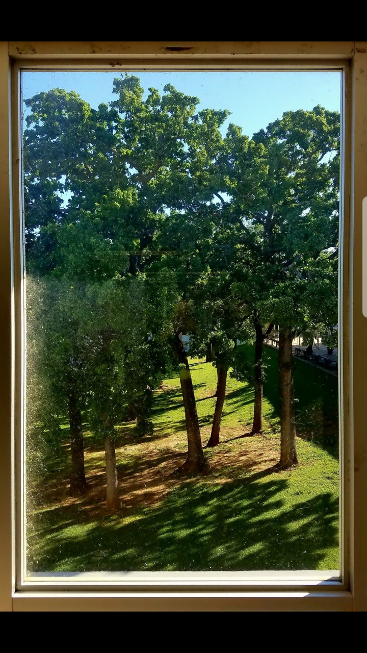 Window to the World