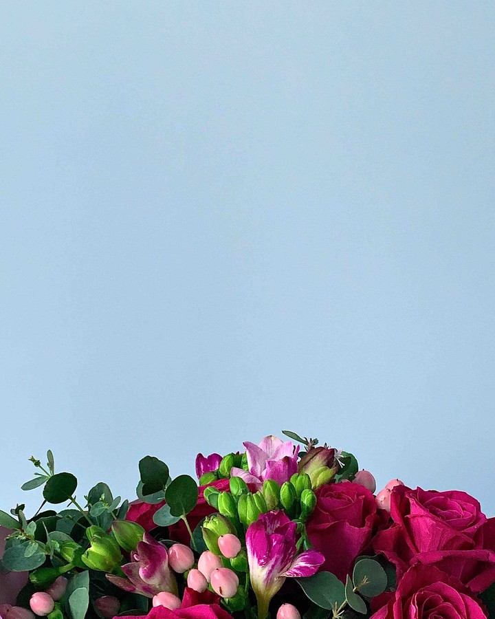 blossomed love