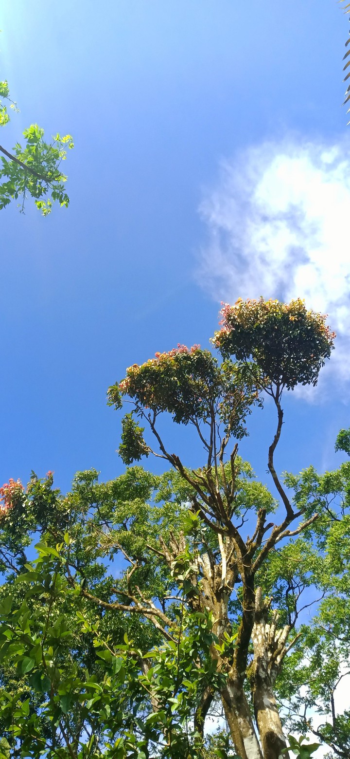look up at the sky