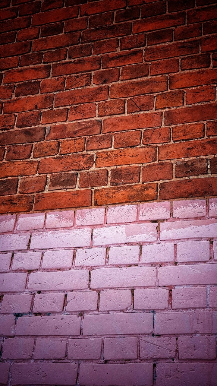 The wall