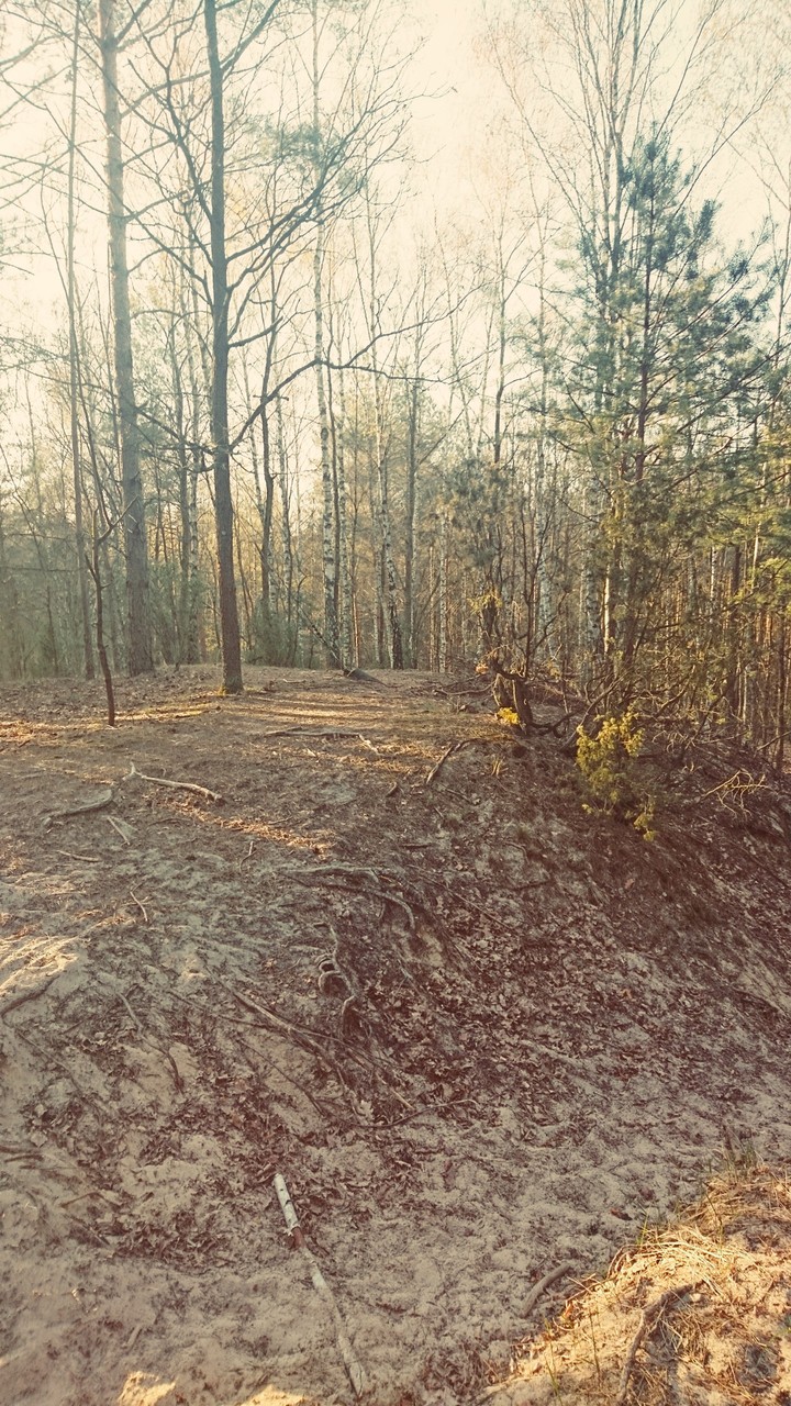 Kampiniwski Park Narodowy