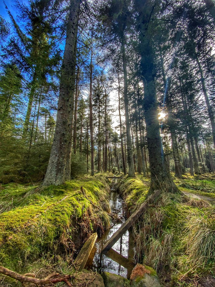 Nature