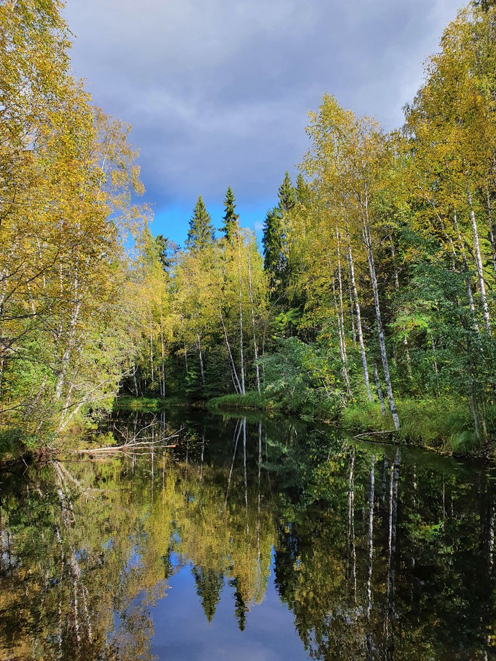 Рускеальские водоподы