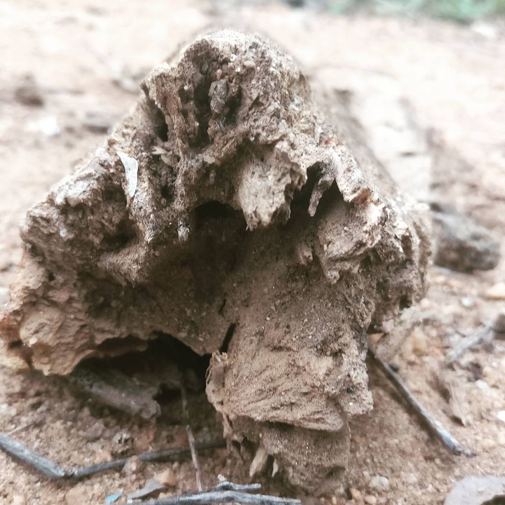 just a wood